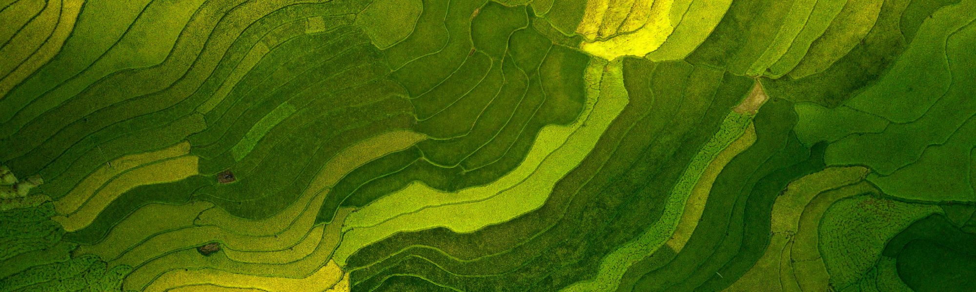 The Changing Nature of Global Data Retention Policy and Compliance